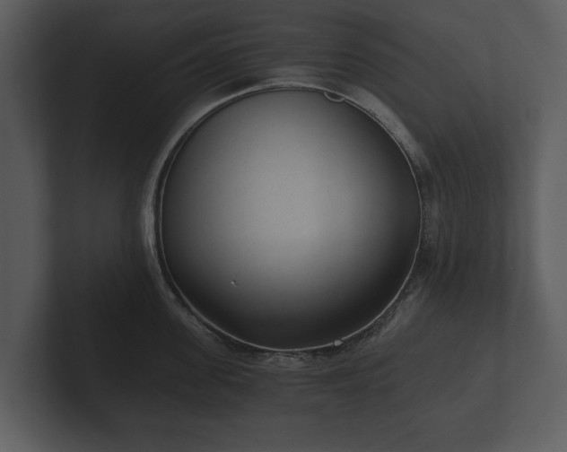 X0000103150955200808291427