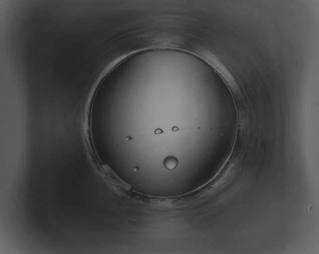 X0000103150956200808291427