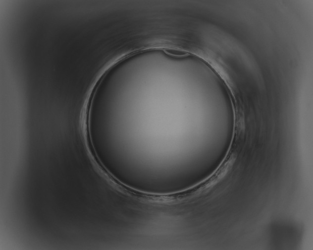 X0000103150957200808291427