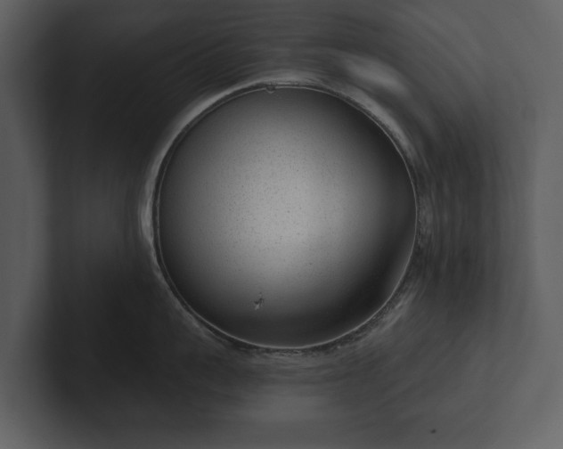 X0000103150959200808291427