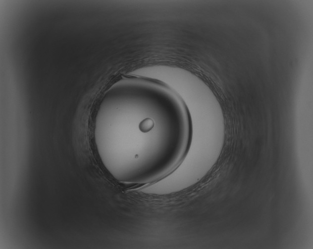 X0000103150961200808291427