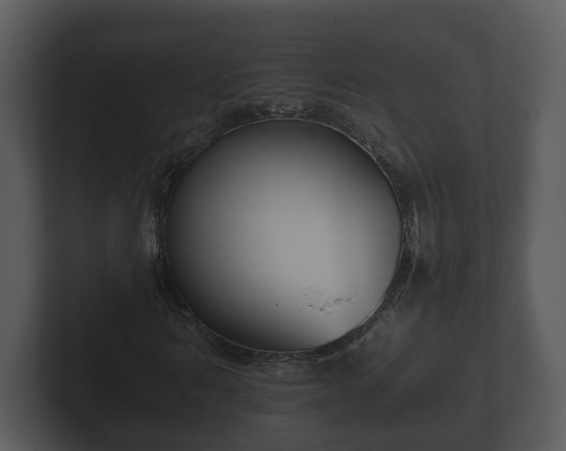 X0000103150962200808291427