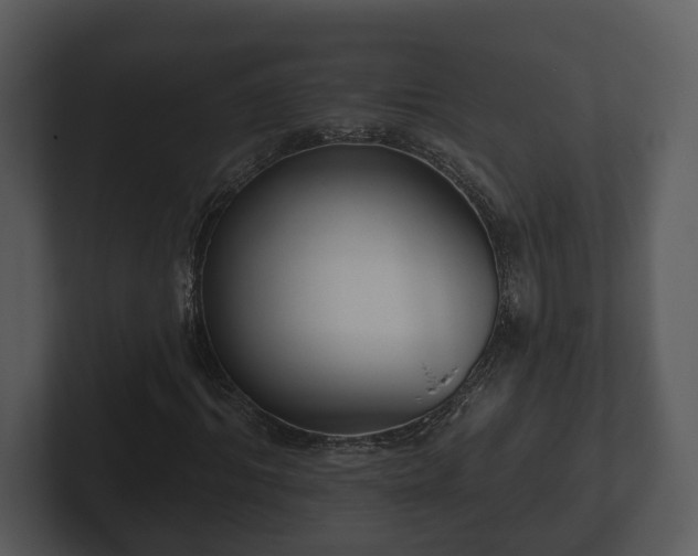 X0000103150964200808291427