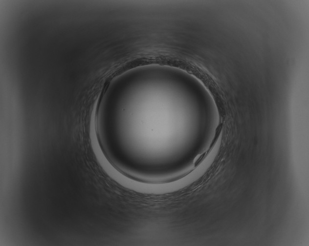 X0000103150965200808291427