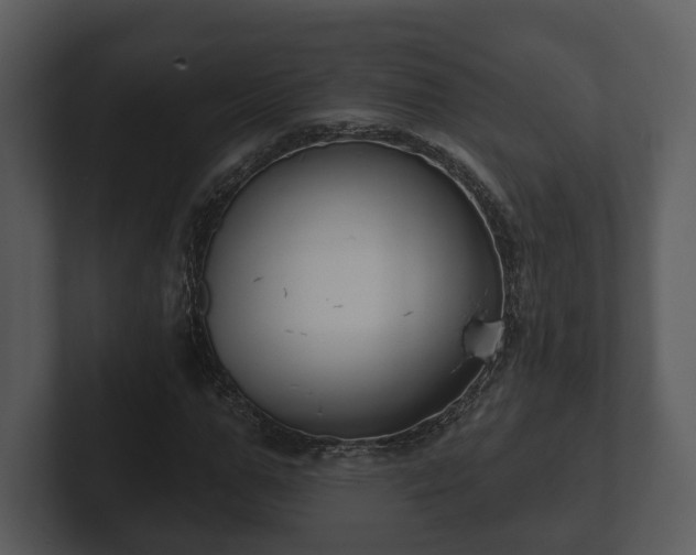 X0000103150967200808291427