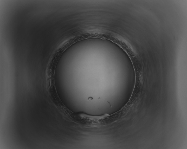 X0000103150968200808291426