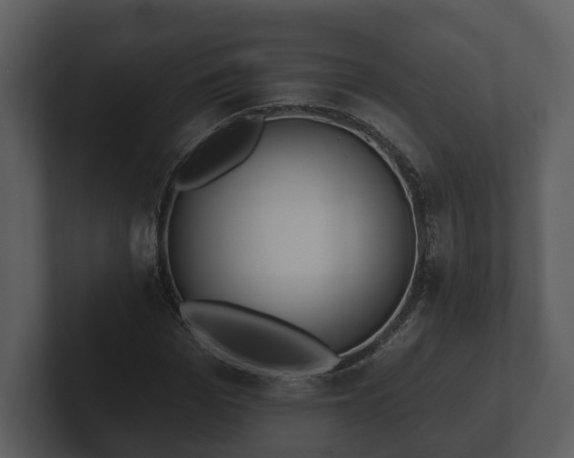 X0000103150969200808291426