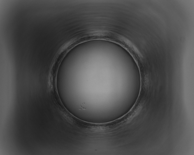 X0000103150970200808291426