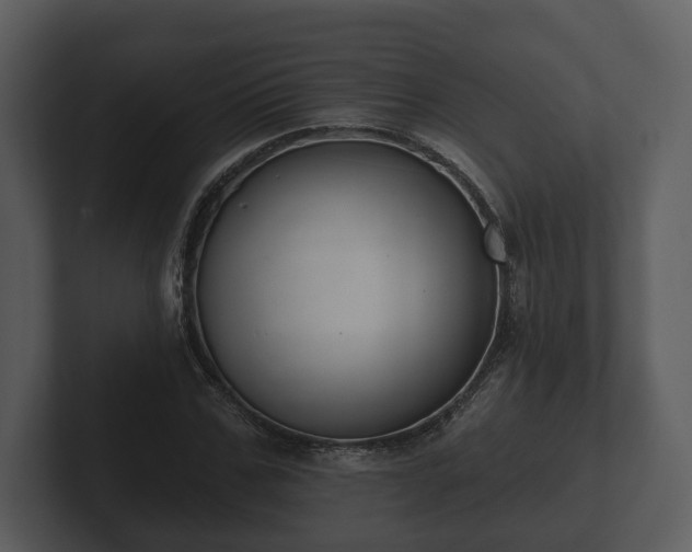 X0000103150971200808291426