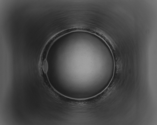 X0000103150975200808291426