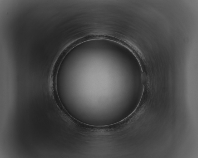 X0000103150976200808291426