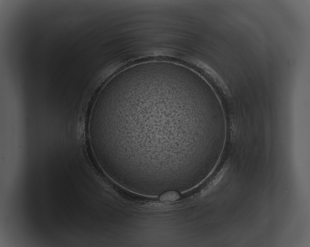 X0000103150977200808291426