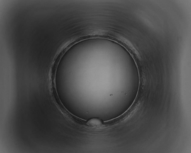 X0000103150978200808291426