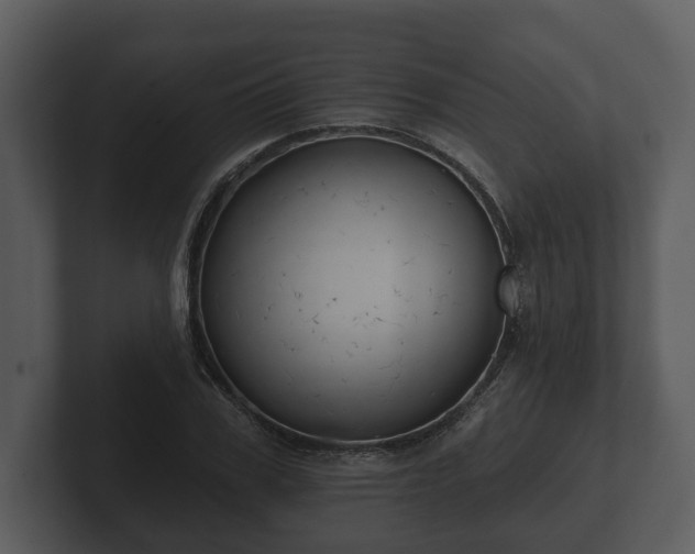 X0000103150979200808291426