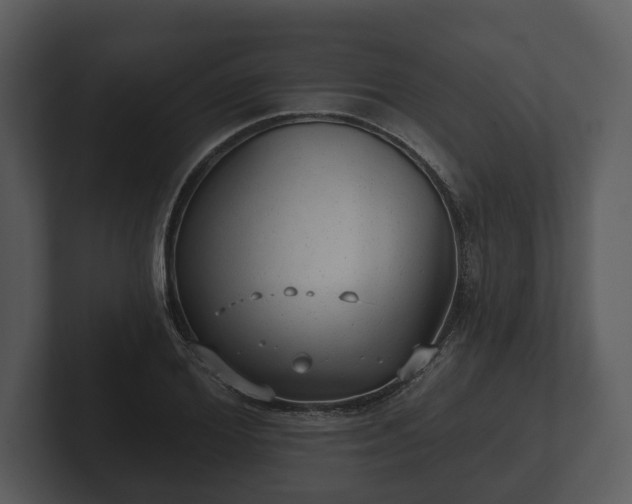 X0000103150980200808291426