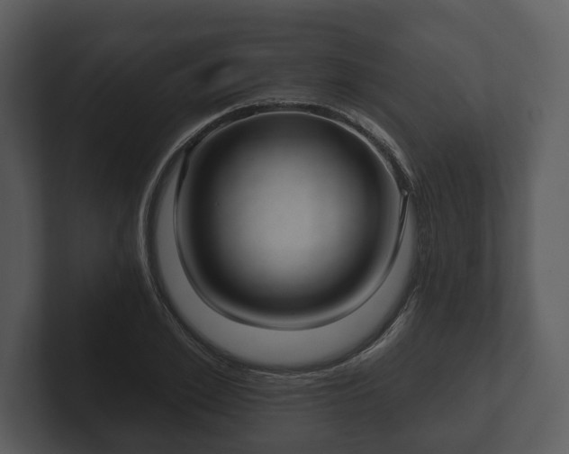 X0000103150981200808291426