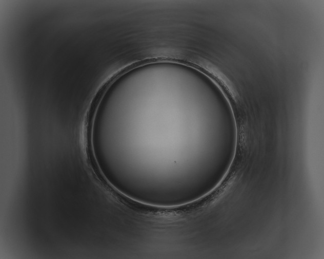 X0000103150983200808291426