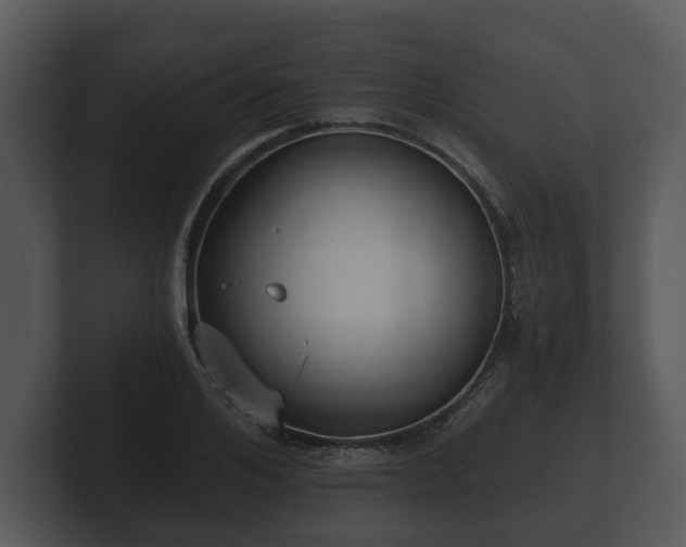 X0000103150984200808291426