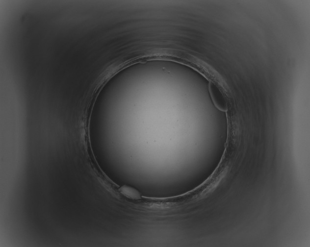 X0000103150985200808291426