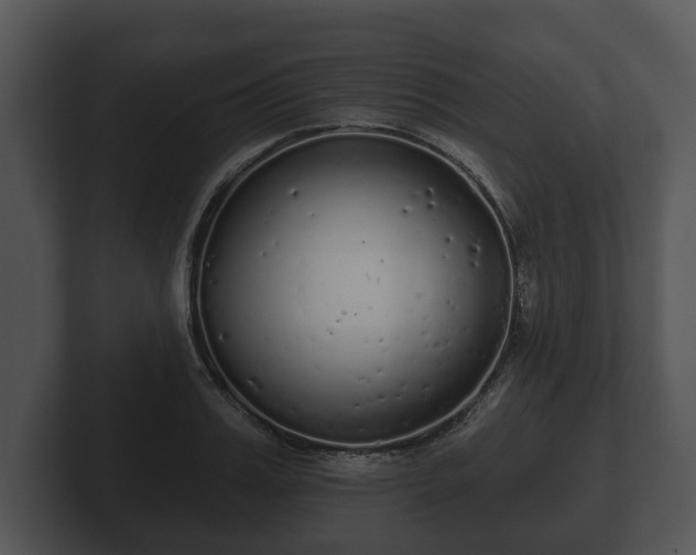 X0000103150987200808291426