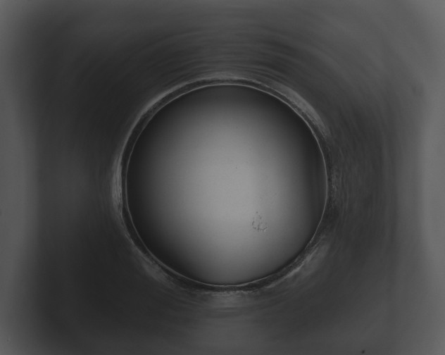 X0000103150988200808291426