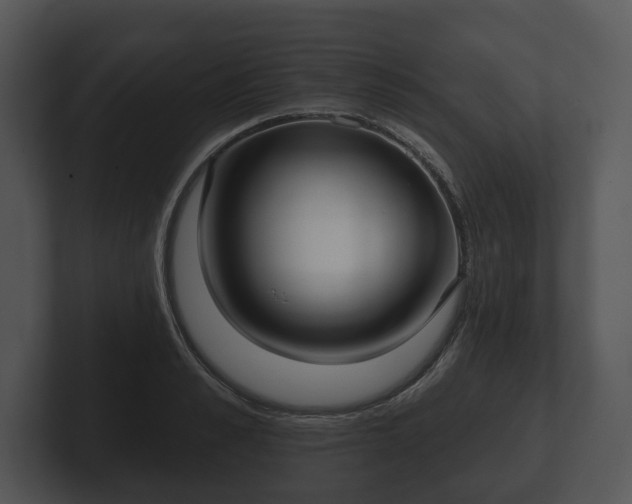 X0000103150989200808291426