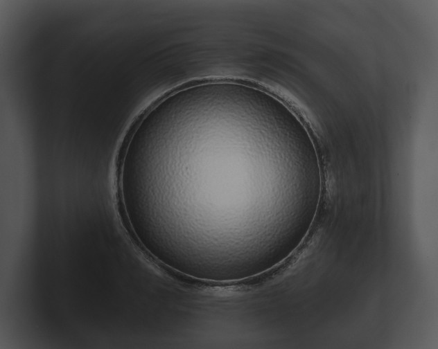 X0000103150990200808291426