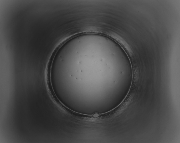 X0000103150991200808291426