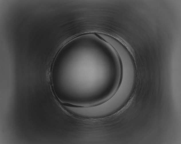 X0000103150993200808291426