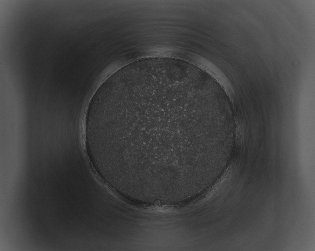 X0000103150994200808291426