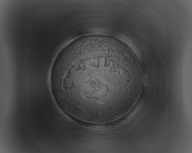 X0000103150995200808291426