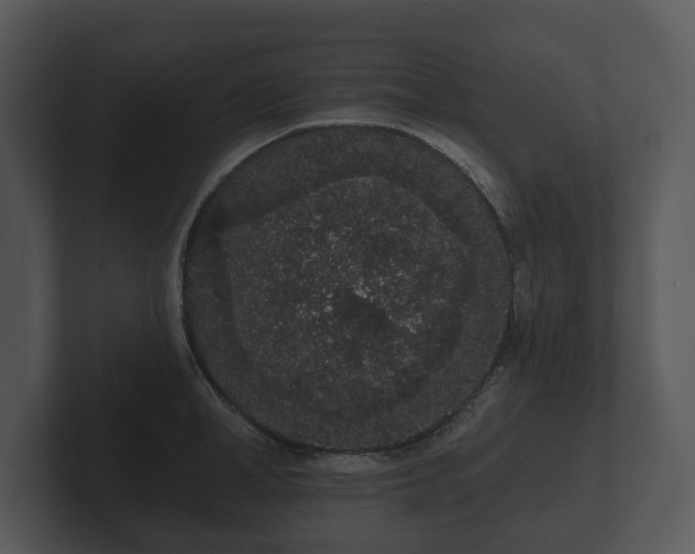 X0000103150998200808291426