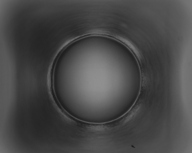 X0000103150999200808291426