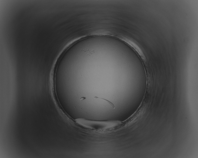 X0000103151000200808291426