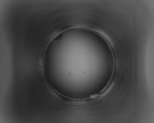 X0000103151001200808291426