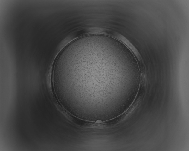 X0000103151002200808291426