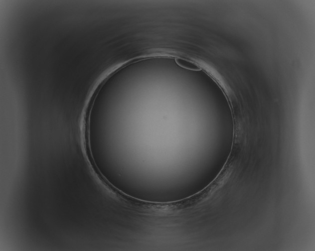 X0000103151003200808291426