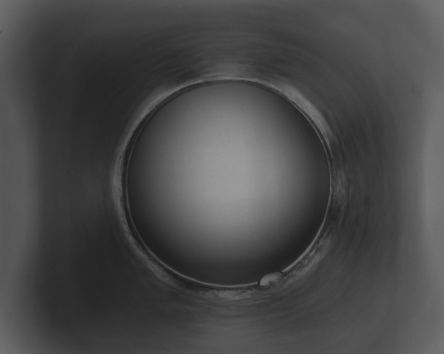 X0000103151005200808291426