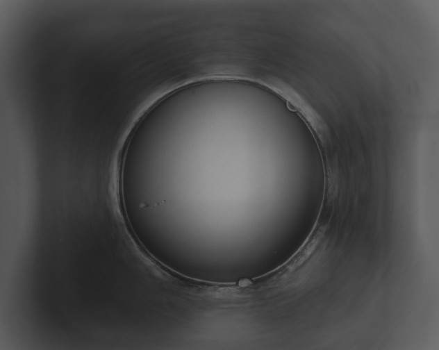 X0000103151006200808291426