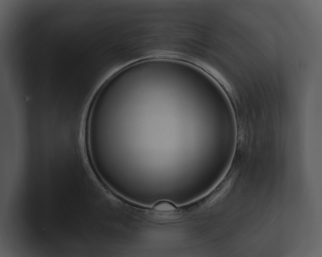 X0000103151007200808291426