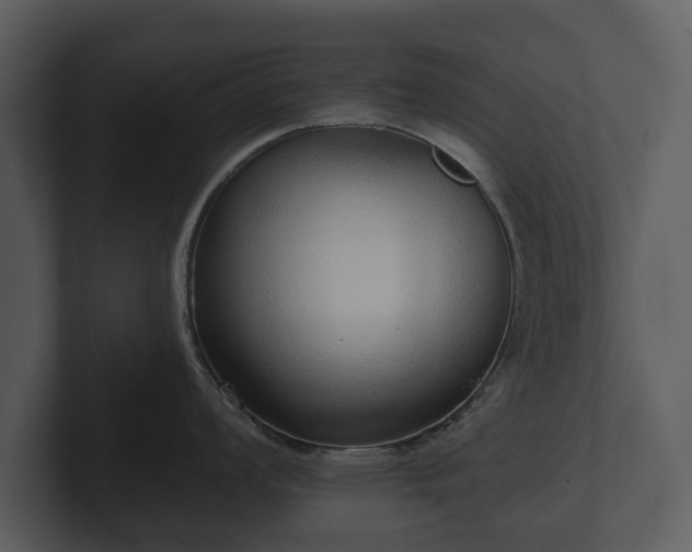 X0000103151008200808291426