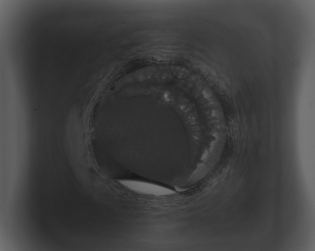 X0000103151009200808291425