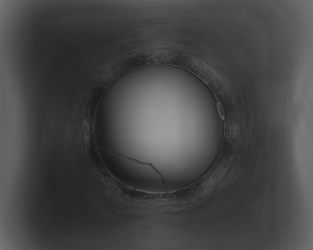 X0000103151010200808291425