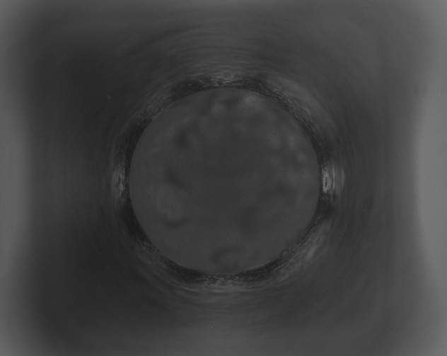 X0000103151011200808291425