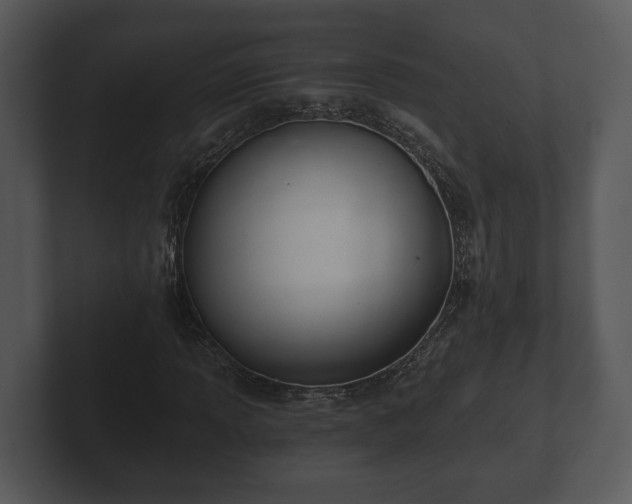 X0000103151013200808291425