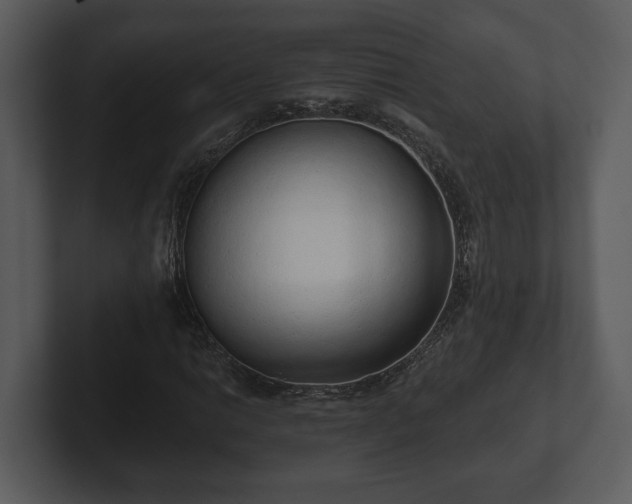 X0000103151014200808291425