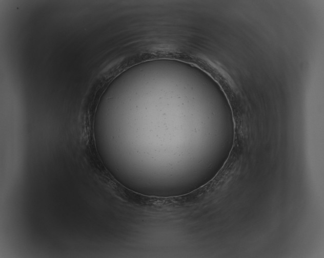 X0000103151015200808291425