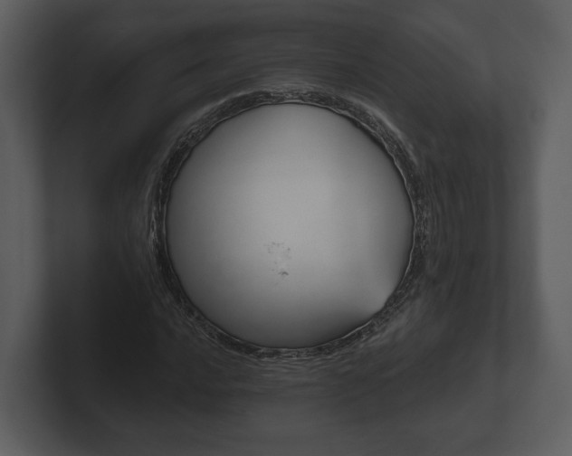 X0000103151016200808291425