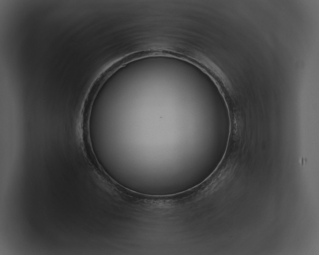 X0000103151020200808291425