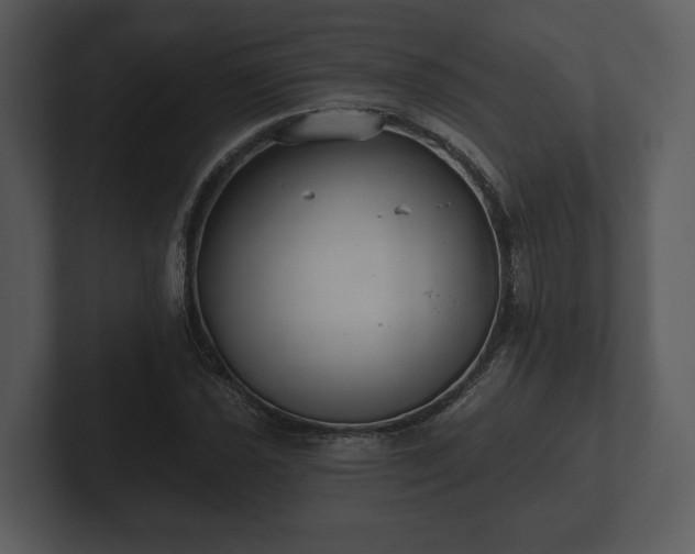 X0000103151021200808291426